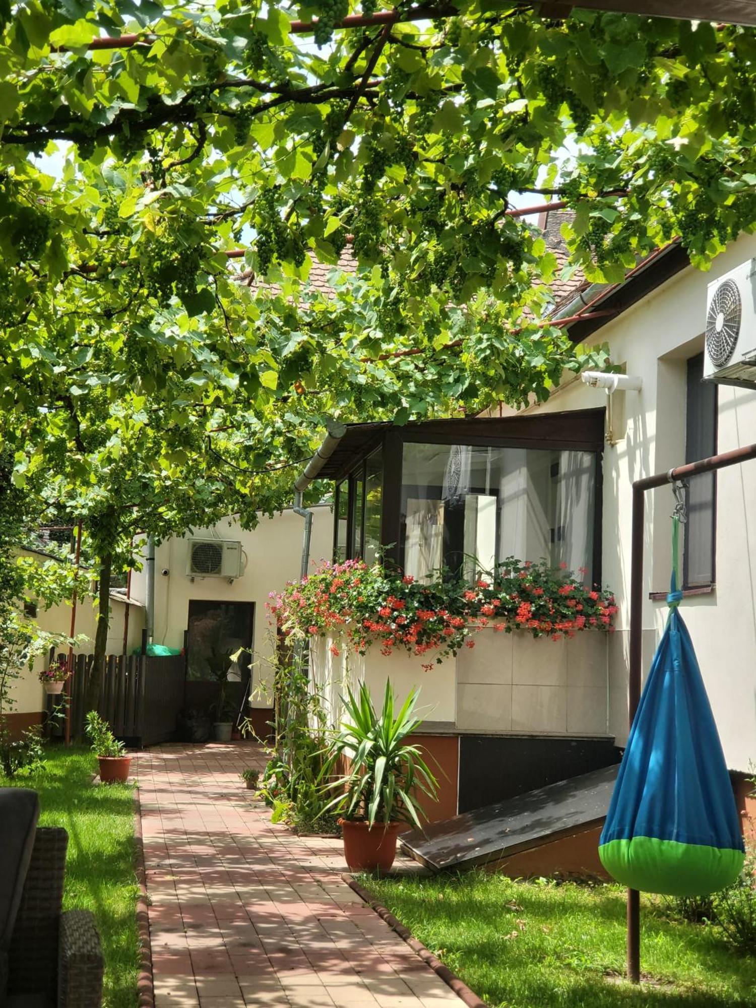 Ana'S Home ซีบิว ภายนอก รูปภาพ
